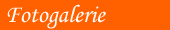Fotogalerie